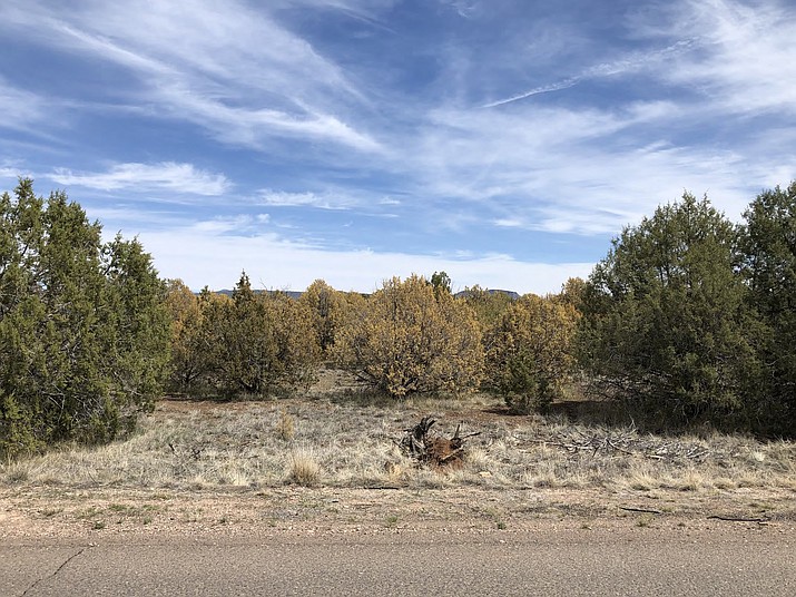 Forest officials investigating significant die-off of juniper trees ...