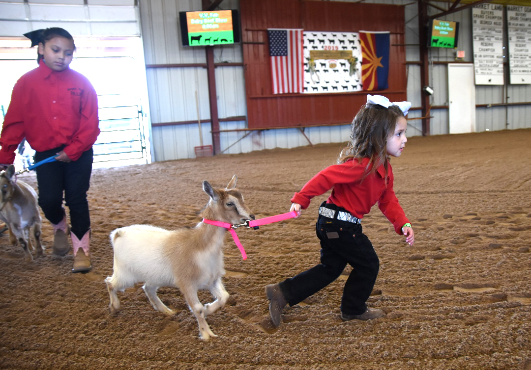 Verde Valley Fair begins Wednesday The Verde Independent Cottonwood, AZ