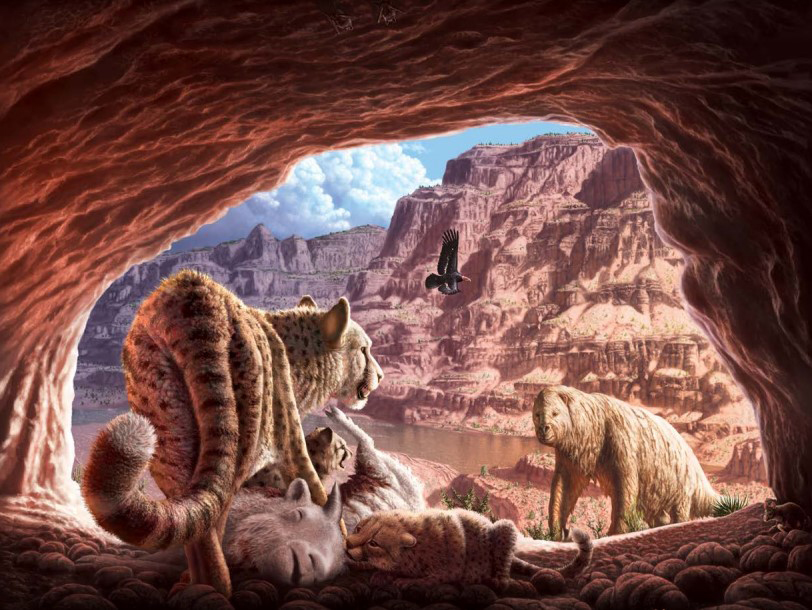 Grand Canyon Fossil Hunters Stumble Upon The Ultimate Prehistoric Treasure - kdzxqik