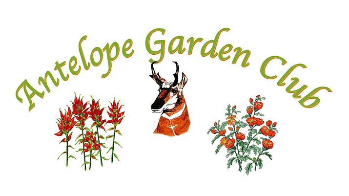 The Antelope Garden Club in Chino Valley is holding its annual Plant Sale fundraiser from 8 a.m. to noon on Saturday, May 29, at the Community Church on the corner of Road 3 North and Highway 89 (across from McDonald’s) in Chino Valley, Arizona. (Courtesy)