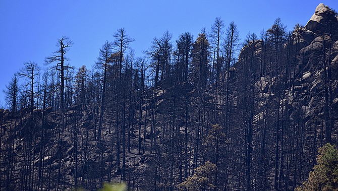 Photo detail