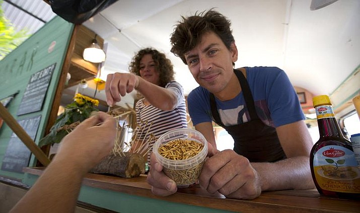 In this In this Sept. 21, 2014 file photo, Microbar food truck owner Bart Smit holds a container of yellow mealworms during a food truck festival in Antwerp, Belgium. Dried yellow mealworms could soon be hitting supermarket's shelves and restaurants across Europe. The 27 nations of the European Union gave the greenlight Tuesday, May 4, 2021 to a proposal to put the Tenebrio molitor beetle's larvae on the market as a "novel food." (AP Photo/Virginia Mayo, File)