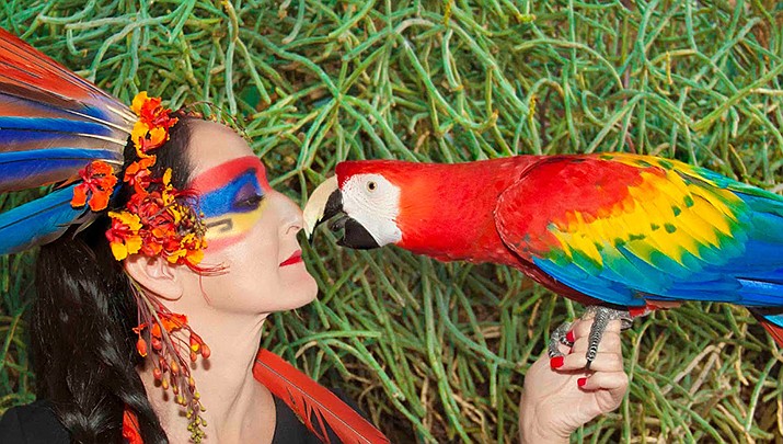 The Chino Valley Public Library will be hosting a Sacred Scarlets Live Macaws workshop at 9:30 a.m. on Wednesday, June 2, in Memory Park, 1020 W Palomino Road. Learn tales of the history and conservation of beautiful and vibrantly tailed parrots with Kelley Taylor. (Kelley Taylor/Courtesy)