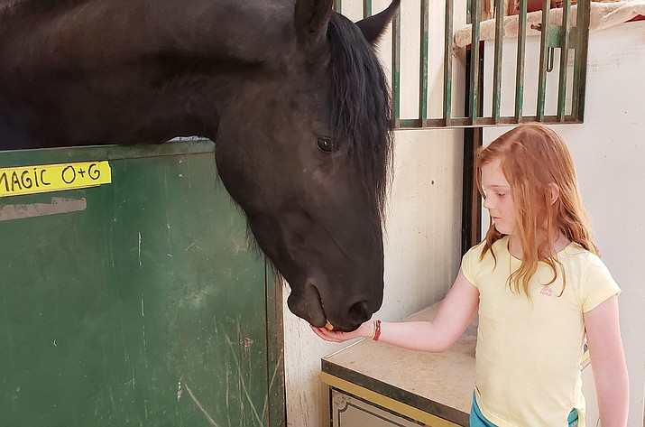A girl named Emily feeds a horse at Horse Mesa Ranch. Located on 12 acres, the ranch can board up to 65 horses, and is the last boarding facility left in the Sedona area. Courtesy photo