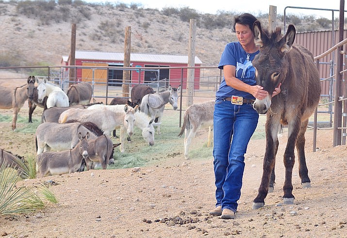 Another 2024 chance sanctuary