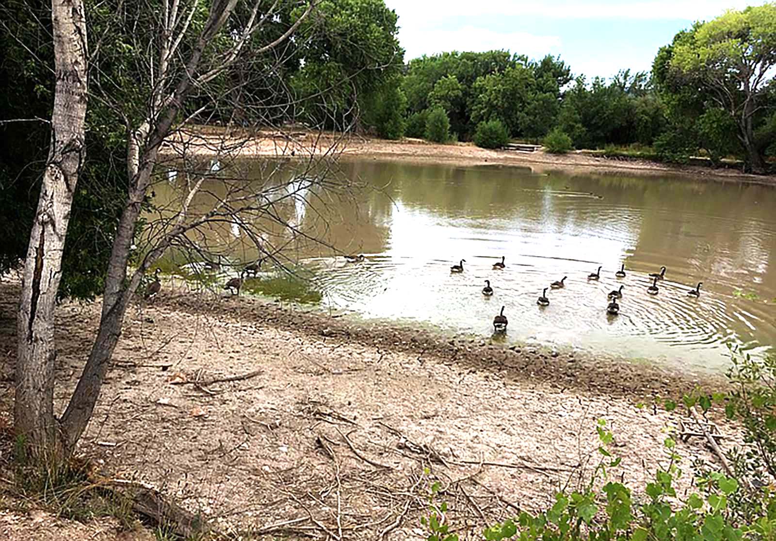 Camp Verde leases Verde Lakes Ponds for new community park The Verde