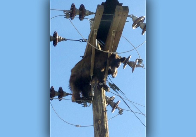 Photo detail