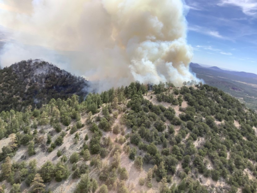 Kaibab National Forest, other land agencies to move to Stage 2 fire restrictions June 11