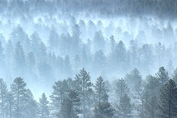 Photo detail