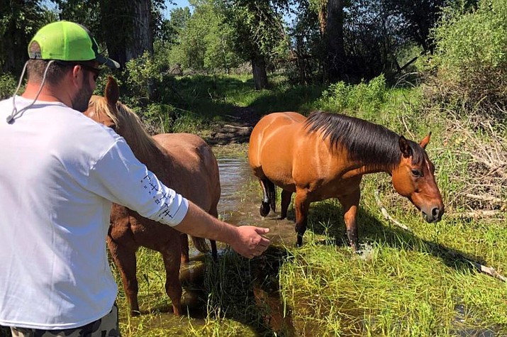 Matthew Eickholt of Hamilton, Mont., greets a horse on Tuesday, June 22, 2021, two days after he and his wife rescued the horse from drowning in the Bitterroot River north of Victor, Mont. (via AP)