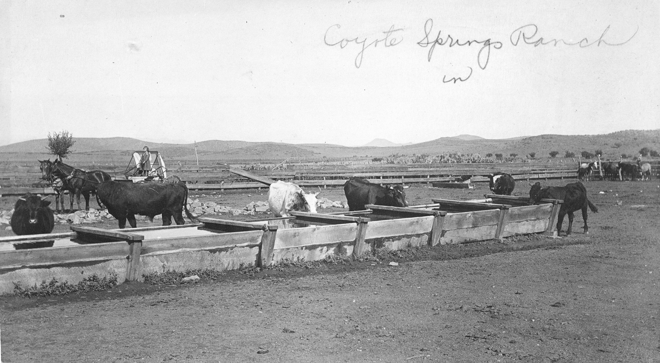 Days Past Lonesome Valley Rodeo The Daily Courier Prescott, AZ