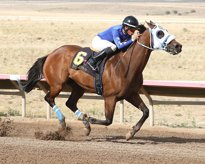 America’s winningest horse to race at Arizona Downs The Daily Courier