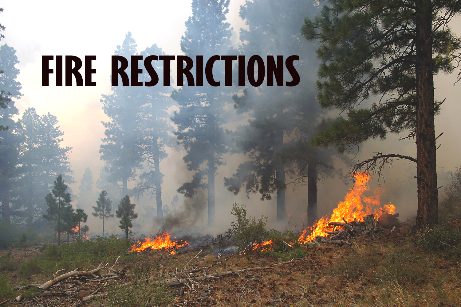 Fire restrictions return to Stage 1 at Grand Canyon National Park July