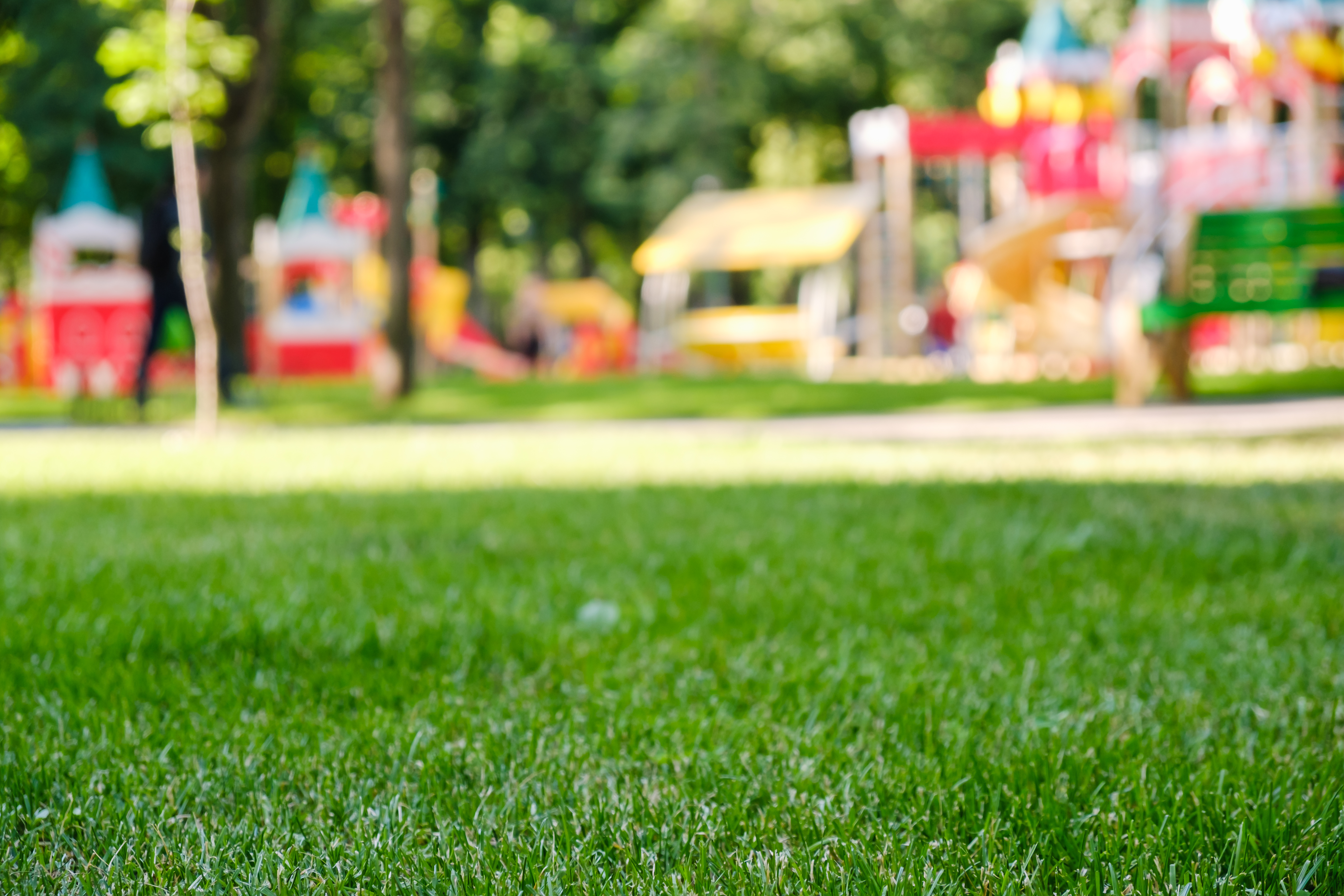 My friend playing in the yard now. Children playing in the Yard. Colorful Playground.