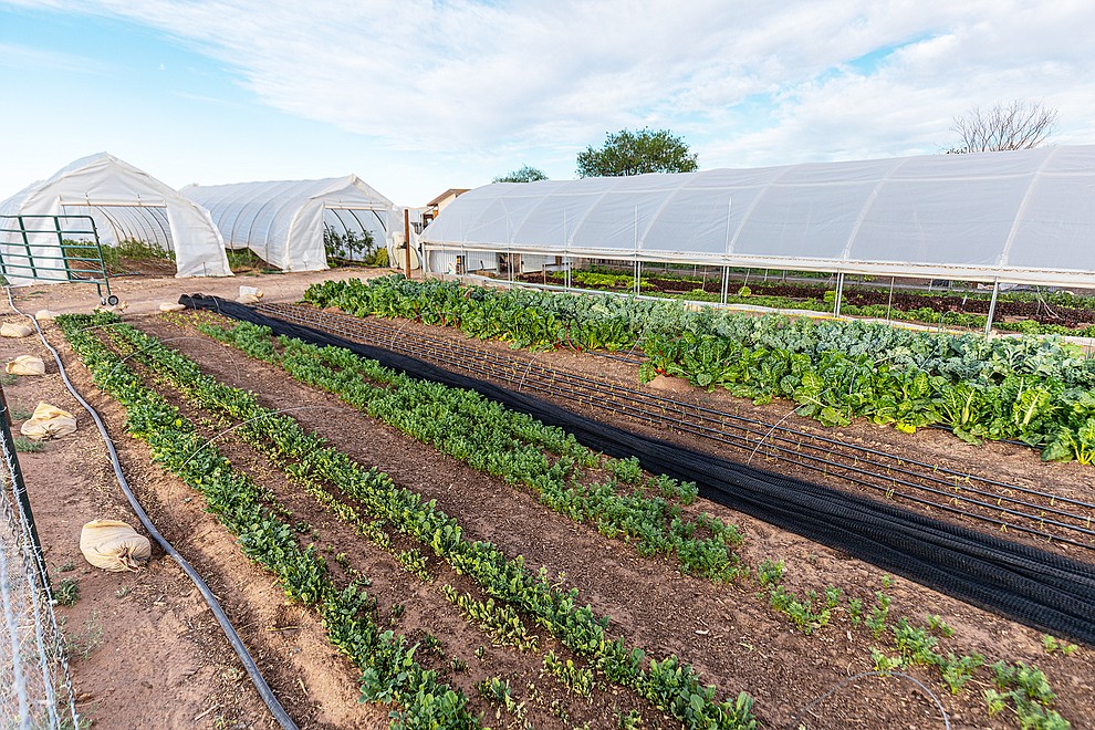 Coffee Pot Farms