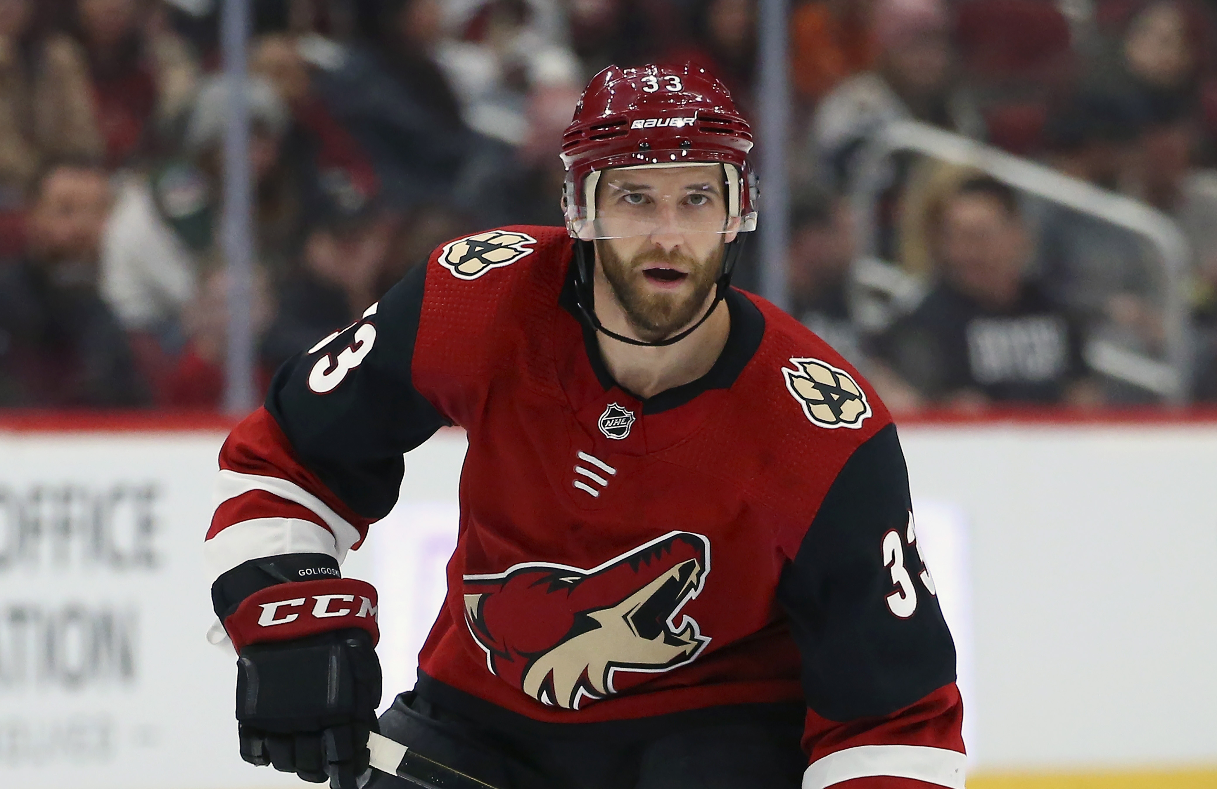 Wild Get Minnesota Native Goligoski For $5m In Free Agency 