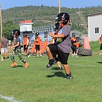 Bengals and Tigers youth football prepares for season, Williams-Grand  Canyon News