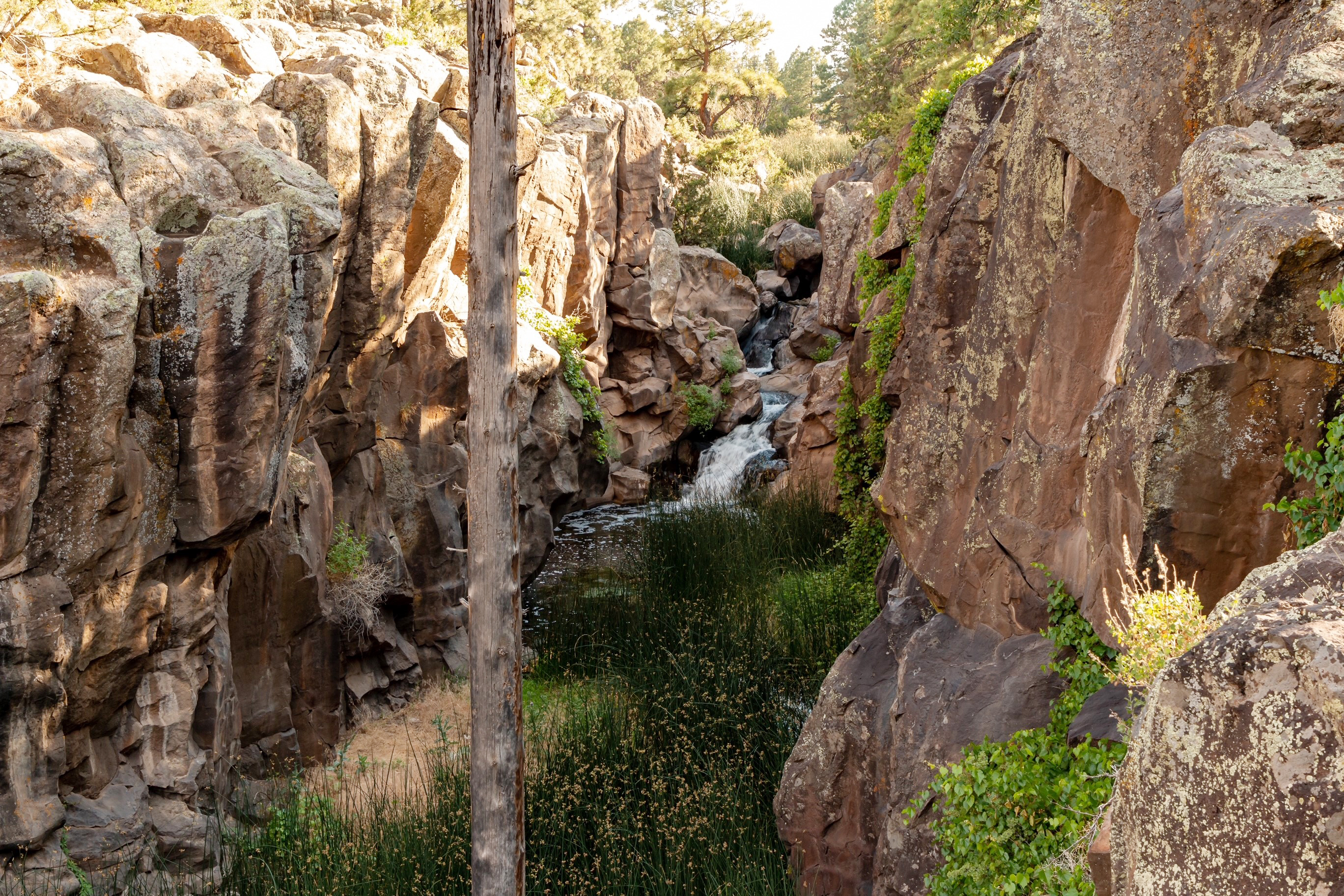 Picture Canyon Flagstaff Map As Pretty As A Picture: Picture Canyon Near Flagstaff Offers Outdoor  Options | Navajo-Hopi Observer | Navajo & Hopi Nations, Az