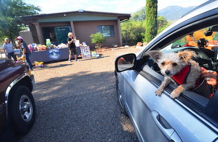 A dog sticks its head out the window at a community pet food giveaway Saturday, Sept. 18, 2021. (Vyto Starinskas/Independent)