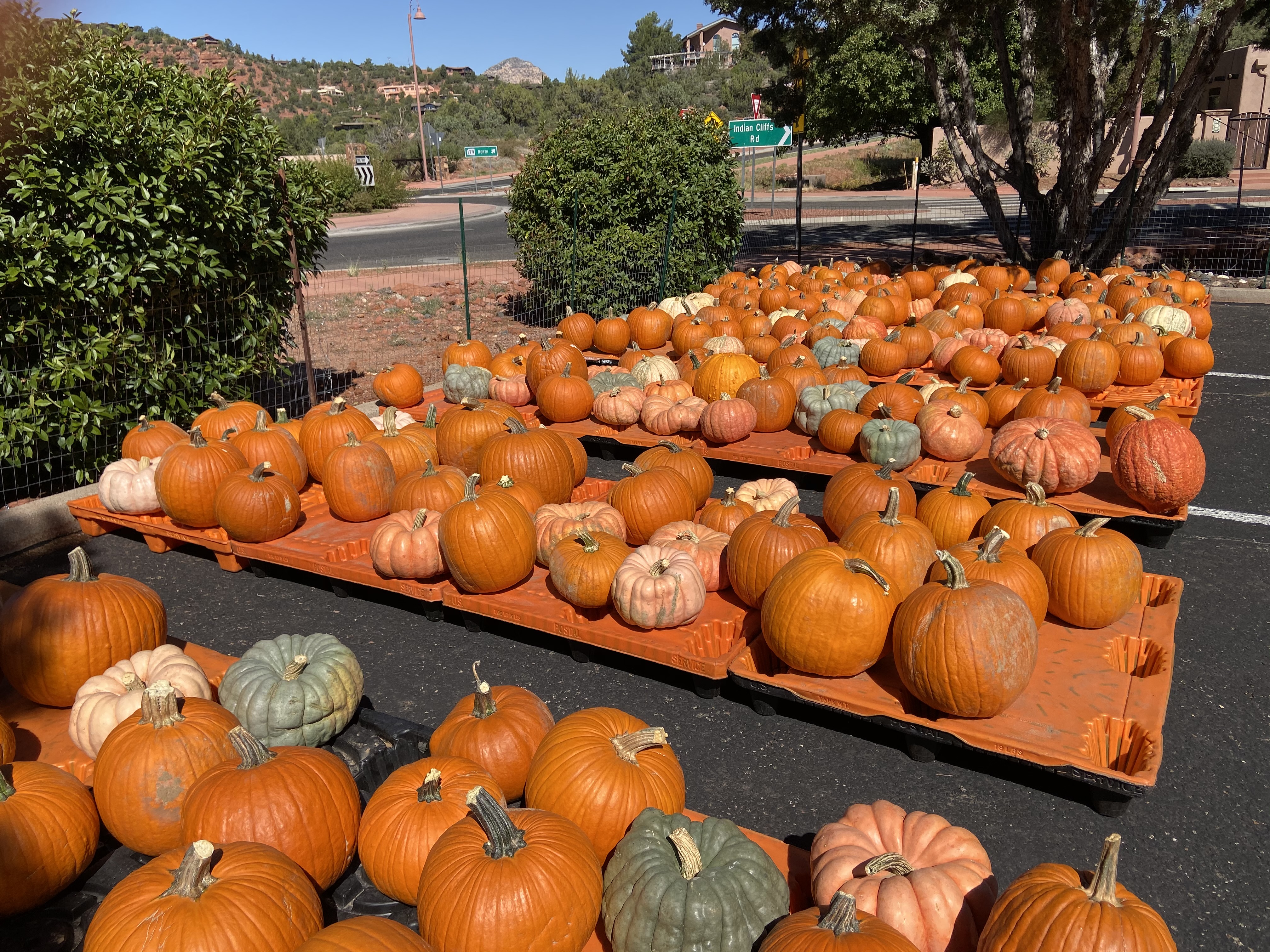 Sedona Church To Host Pumpkin Patch Fun Beginning Oct 2 The Verde Independent Cottonwood Az