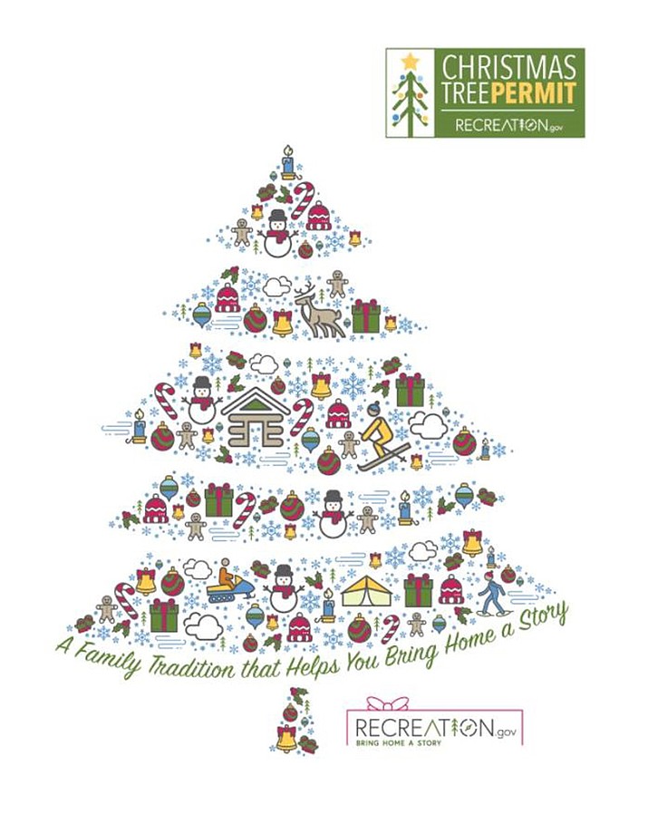 Christmas tree permit 2022