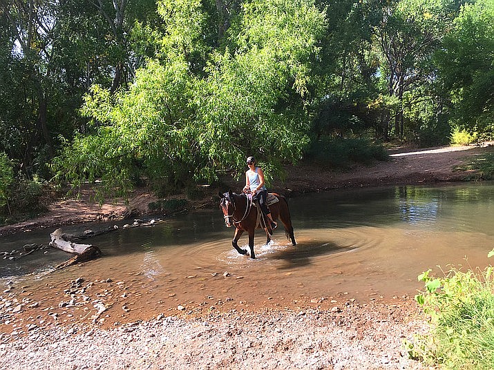 A horse and rider enter the Verde River near Riverfront Park and Dead Horse State Park in Cottonwood. Cottonwood City Manager Ron Corbin suggested that the city should look at having more Verde River access points. (Vyto Starinskas/Independent)