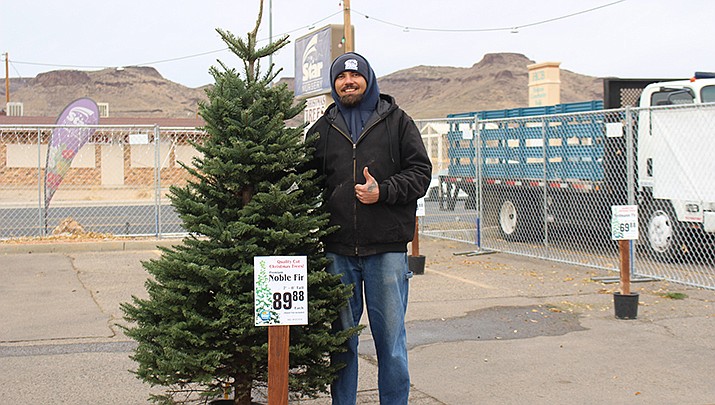 Expect reduced supplies and higher price when you go to buy a fresh Christmas tree this holiday season. Ryan Severson of Star Nursery in Kingman, shown in this file photo, said live Christmas tree sales were brisk last year (Miner file photo)
