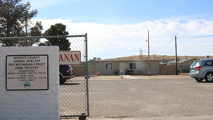 Jordan’s Way, a nonprofit effort to raise money for animal shelters, will be at the Mohave County Animal Shelter from 10 a.m. to 2 p.m. Tuesday, Dec. 7. (Miner file photo)