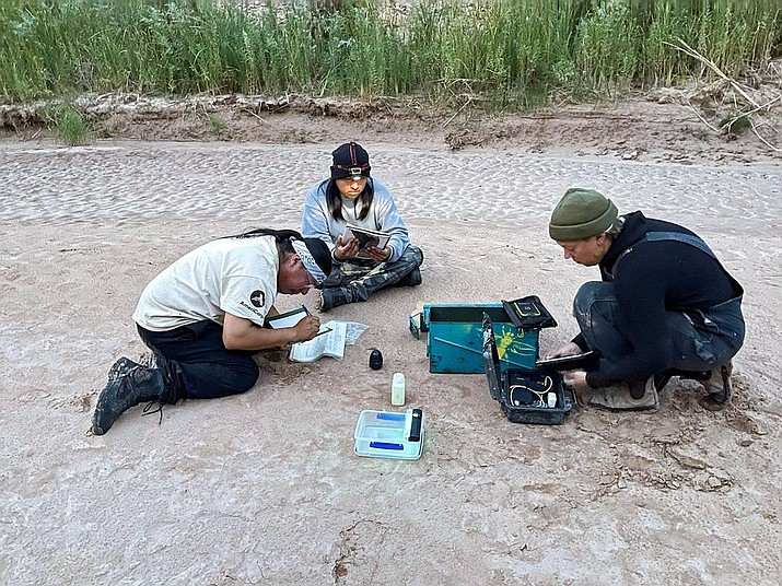 Participants record project data in October along the Colorado River while sitting in a sandy campsite area that was cleared of encroaching vegetation. (Photo/NPS)