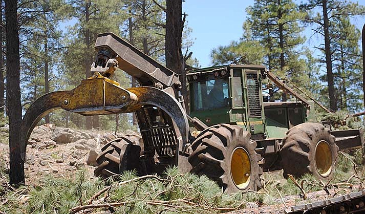 The Four Forests Restoration Initiative, or 4FRI, encourages limited logging in national forests – Apache-Sitgreaves, Coconino, Kaibab and Tonto – to reduce the risk of catastrophic wildfire by reducing the available fuel for fires. After a two-month pause to sort out challenges, the U.S. Forest Service said planning for the next phase of 4FRI is back on track. (Photo by Four Forests Restoration Initiative/U.S. Forest Service)