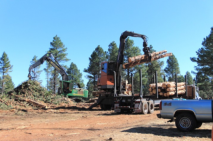 Despite the cancellation of the 4FRI Phase Two solicitation, forest restoration efforts continue on the south zone of Kaibab National Forest, including the 1,159-acre Saddle Timber Sale in Parks, Arizona Sept. 21. (Wendy Howell/WGCN)