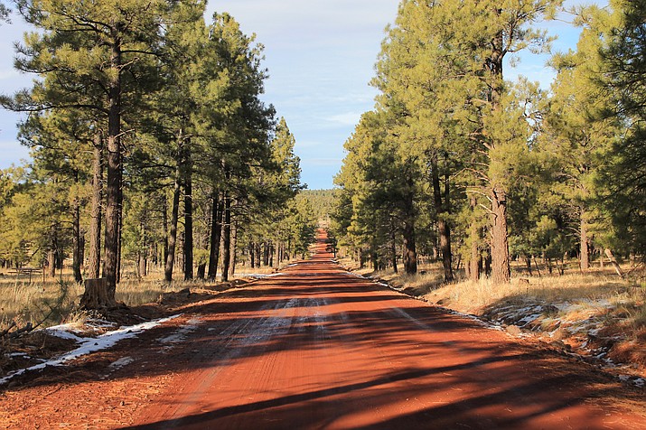Cooper Ranch Road is dirt road that connects to Cataract Lake Road. (Wendy Howell/WGCN)