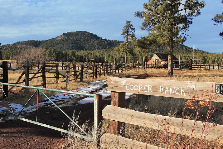 Cooper Ranch is situated below Three Sisters and is on county land surrounded by the U.S. Forest Service and city of Williams. The 60-year-old historic ranch is listed for $3 million and includes views of Bill Williams Mountain and the San Francisco peaks. (Wendy Howell/WGCN)