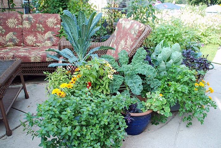 Container vegetable garden. (MelindaMyers.com/Courtesy)