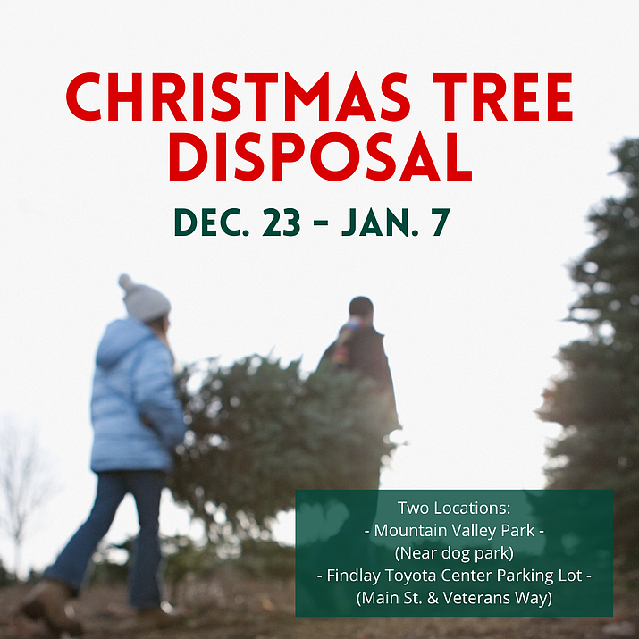 Christmas 2022 In Prescott Valley Az Prescott Valley Provides 2 Dumpsters For Recycling Real Christmas Trees  Through Jan. 7 | The Daily Courier | Prescott, Az