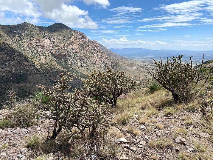 Yaqui Ridge Trail viewpoint, located on the 800-mile Arizona Trail. The Arizona Trail is used by hikers, bikers, equestrians and others. (Photo/NPS)