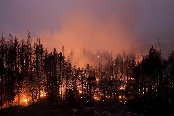 Trees scorched by the Caldor Fire smolder in the Eldorado National Forest, Calif., Friday, Sept. 3, 2021. The Biden administration wants to thin more forests and use prescribed burns to reduce catastrophic wildfires as climate changes makes blazes more intense. (Jae C. Hong/AP, File)