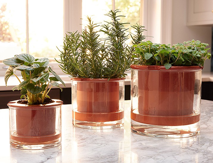 Wetpot’s self-watering pot makes sure you don’t over- or under-water your plant. A terra cotta planter, available in two sizes for either a couple of smaller plants, or a potted fern, perhaps, sits inside a reservoir of hand-blown glass; fill the reservoir, and plants will take in what they need. (MoMA Design Store via AP)