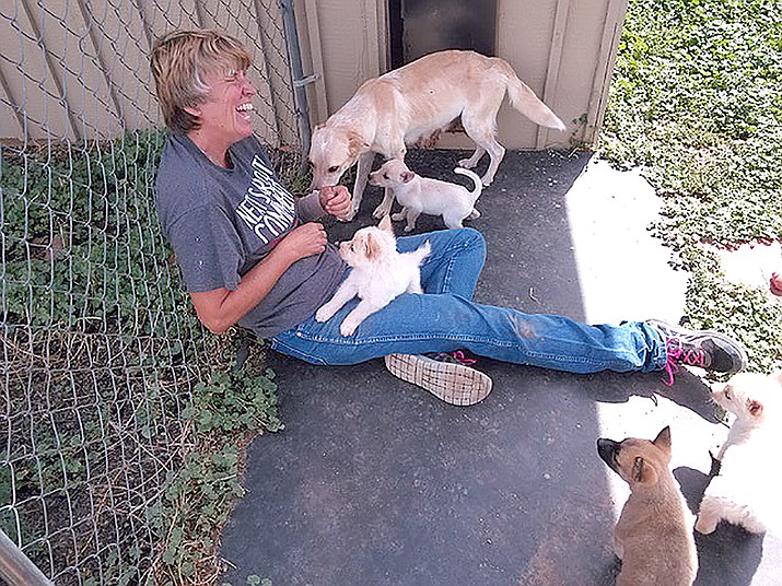 Liz Stegmeir, founder of AARF with mother and her litter. (Lavinsky/Courtesy)