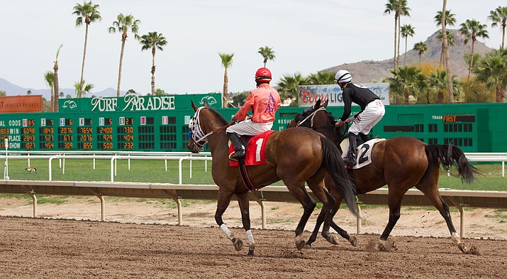 The deaths of 24 horses during Turf Paradise’s current racing season has raised concern because the number is much higher than the national average. (Jake Goodrick/Cronkite News, File)