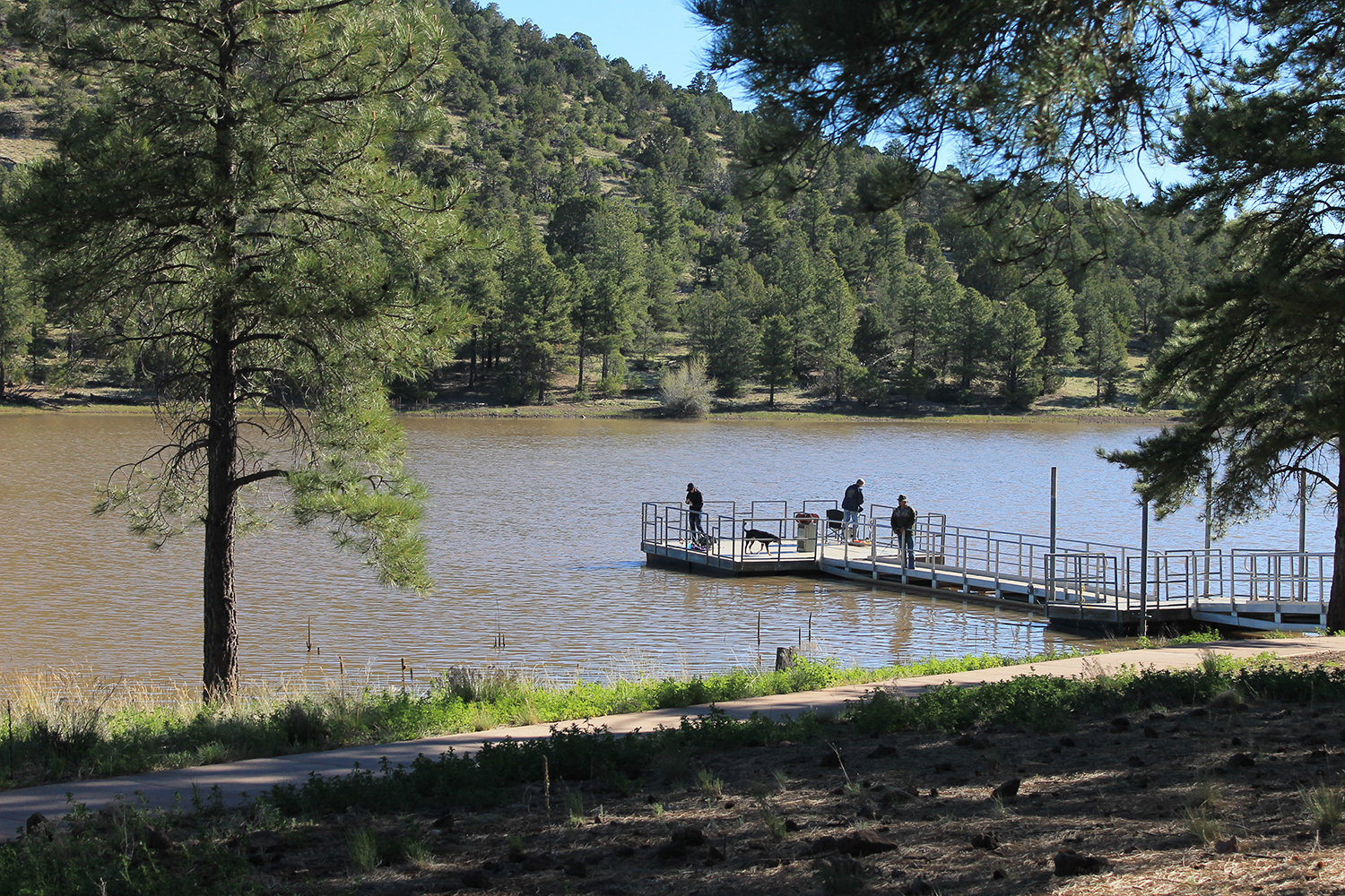 Kaibab Lake interpretive group looking for volunteers | Williams-Grand 