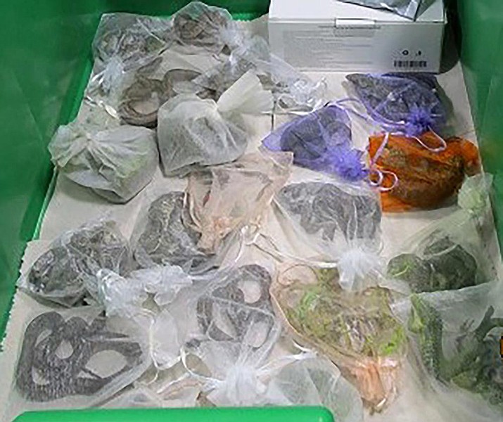 This February 2022 photo shows snakes in bags found hidden under and in a man's clothes by CBP officers at the San Ysidro, Calif., port of entry. An alleged smuggler who tried to slither past U.S. border agents in California had dozens of lizards and snakes hidden in his clothing, authorities said Tuesday, March 8, 2022 (U.S. Customs and Border Protection via AP)