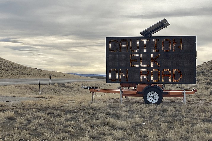 A sign alongside U.S. 287 southeast of Lander, Wyoming, warns drivers to watch out for elk crossing the highway on Friday, March 4, 2022. A new state of Wyoming mobile app that allows people to claim roadkill to eat will provide highway officials and biologists with data that will help them decide where to put such signs. (Mead Gruver/AP)