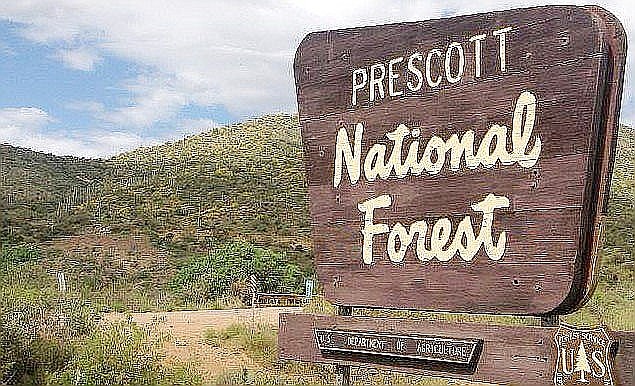 Prescott National Forest (Stock photo)