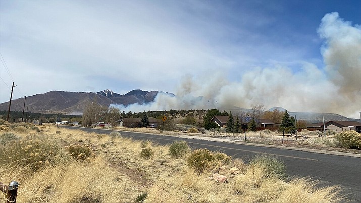 The Tunnel Fire near Flagstaff is at 100 acres and is rapidly spreading northeast because of high winds. Evacuations have been ordered. (Photo/CCSO)