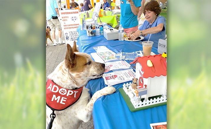United Animal Friends will host Woof Down Lunch from 10 a.m. to 3 p.m., Saturday, May 21, 2022, on the Courthouse Plaza in Prescott. Throughout the day, dogs and their people can enjoy a variety of pet-related activities around the plaza. (UAF/Courtesy)