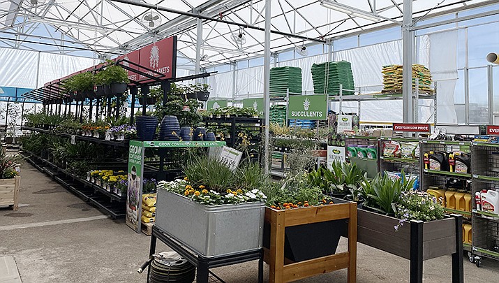 The Tractor Supply garden center has a variety of plants and gardening gear. (Photo by MacKenzie Dexter/Kingman Miner)