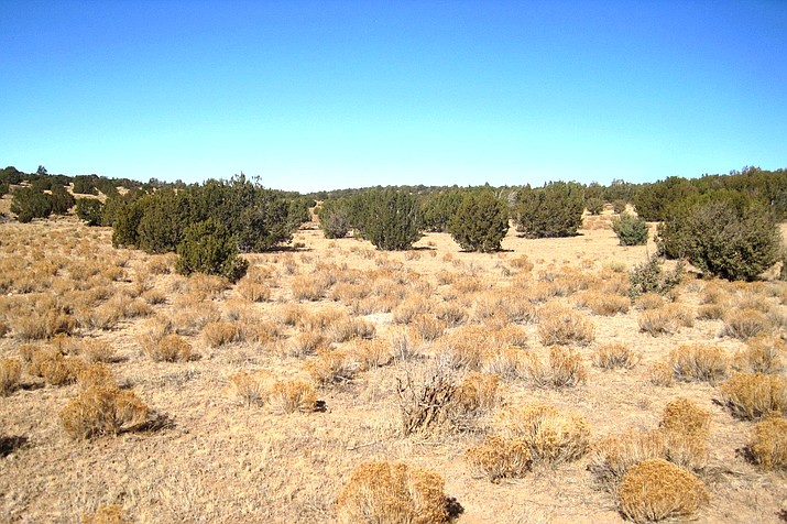 Perrin Ranch will take part in large-scale land treatment projects that will improve wildlife corridors between Grand Canyon and Prescott. (Photo/AZGFD)