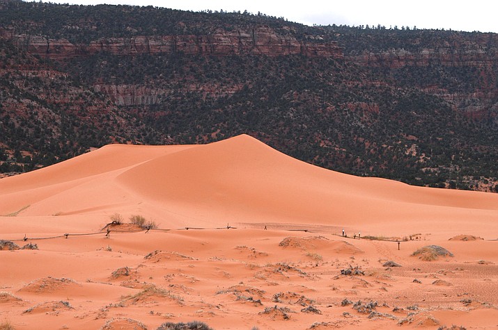 This 2018 file photo shows Coral Pink Sand Dunes state park near Kanab, Utah. A teenager visiting southern Utah's State Park died on Sunday, May 15, 2022, after he was entrapped beneath a sand dune that had collapsed on him a day prior. Ian Spendlove, a 13 year old from the St. George suburbs, was pronounced dead on Sunday after not regaining brain activity lost in the incident, the Utah State Parks Department said Monday. (The Salt Lake Tribune via AP)
