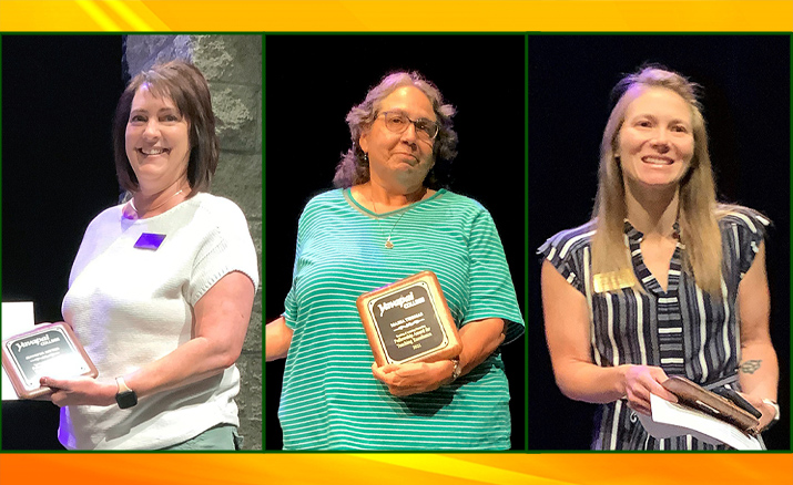 Three At Yavapai College Singled Out For Teaching Award | The Daily ...